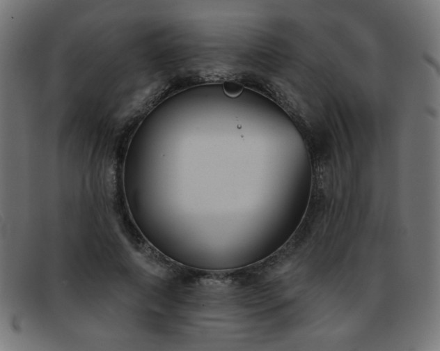 X0000093360690200710111455