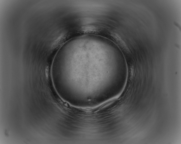 X0000093360691200710111455