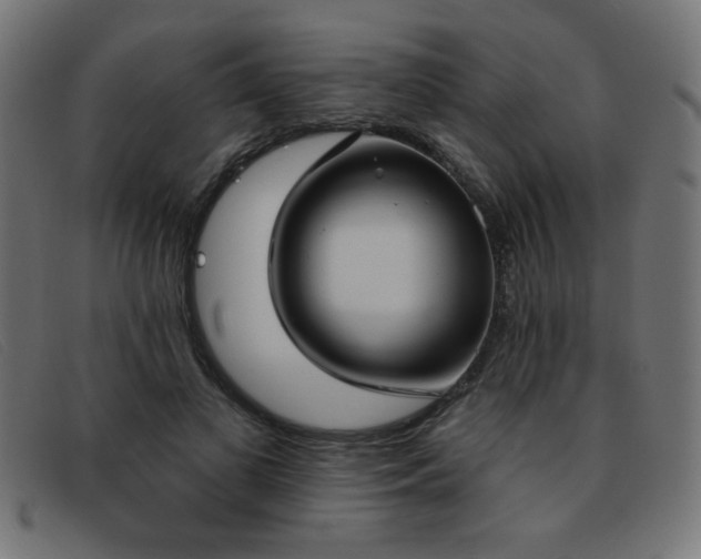 X0000093360693200710111455