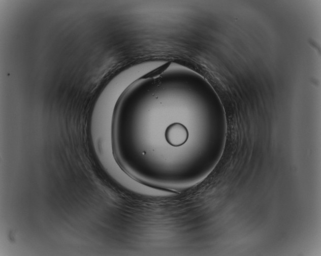 X0000093360695200710111455