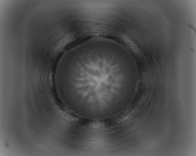 X0000093360696200710111455