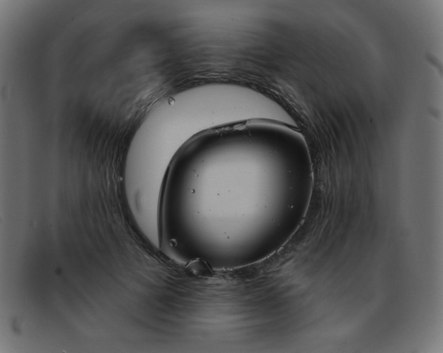 X0000093360697200710111455