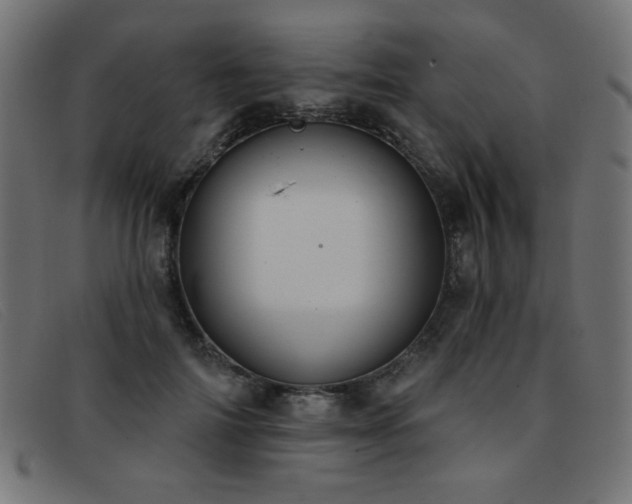 X0000093360698200710111455
