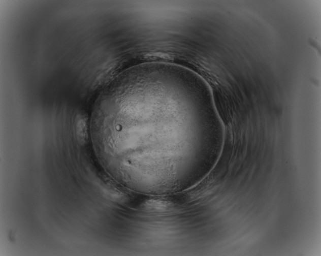 X0000093360699200710111455