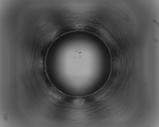 X0000093360700200710111455