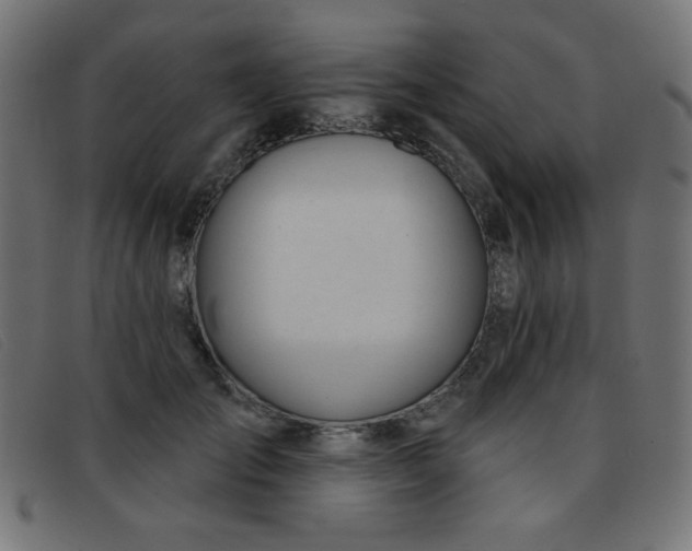 X0000093360701200710111455