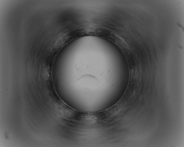 X0000093360702200710111455