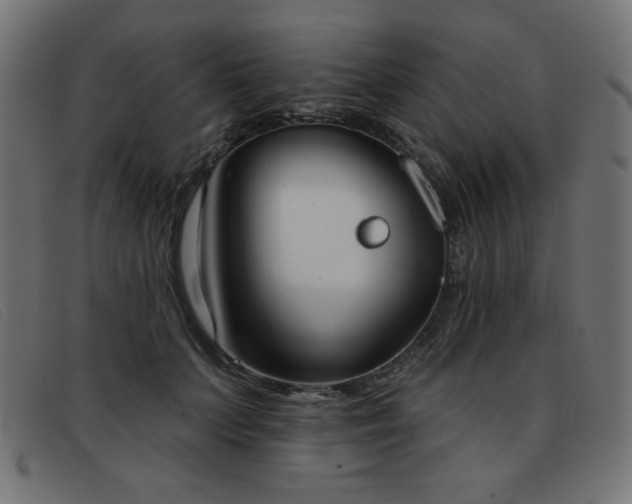 X0000093360703200710111455