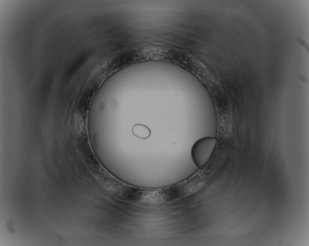 X0000093360705200710111455