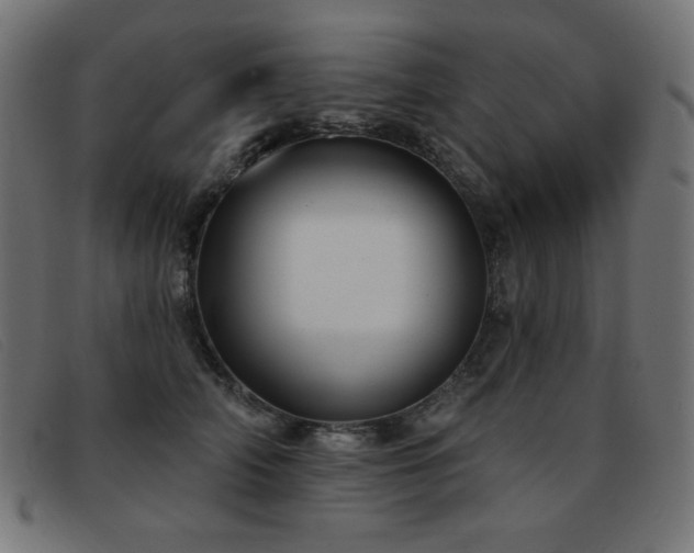 X0000093360706200710111455