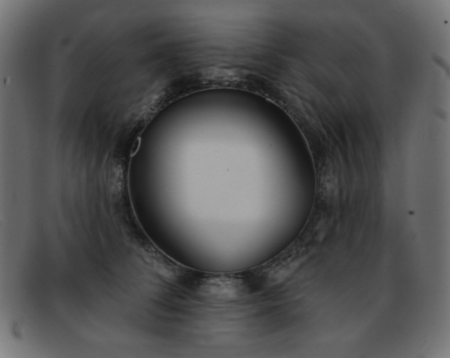 X0000093360708200710111455