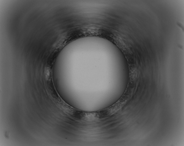 X0000093360709200710111455