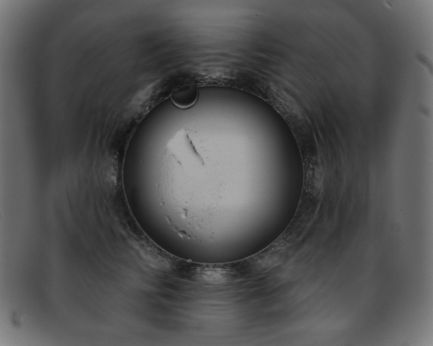 X0000093360710200710111455