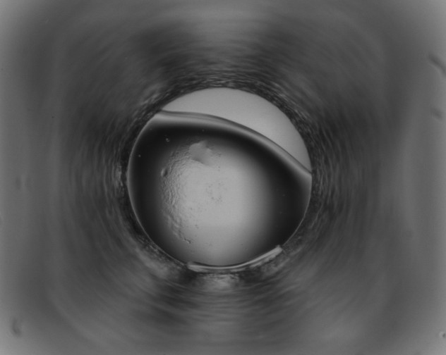 X0000093360711200710111455