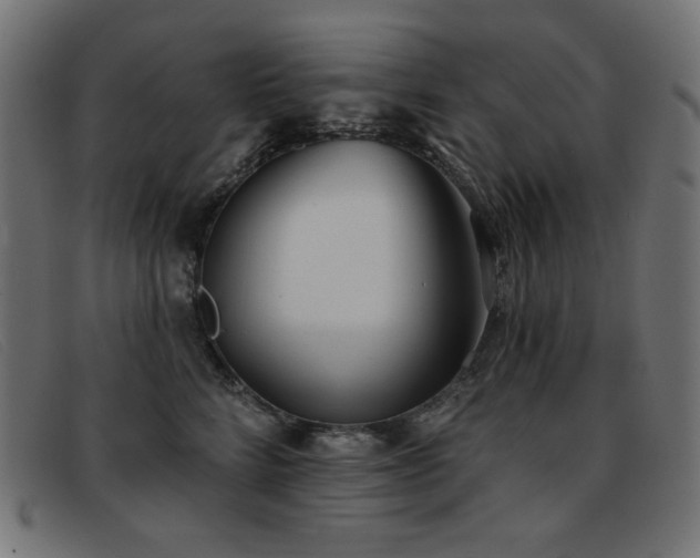 X0000093360712200710111455