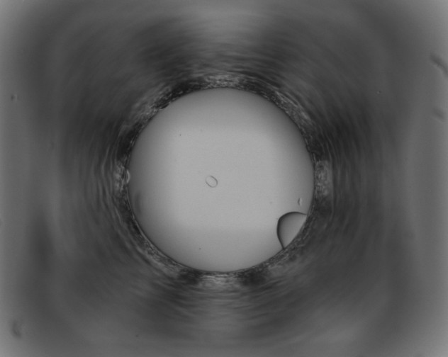 X0000093360713200710111455