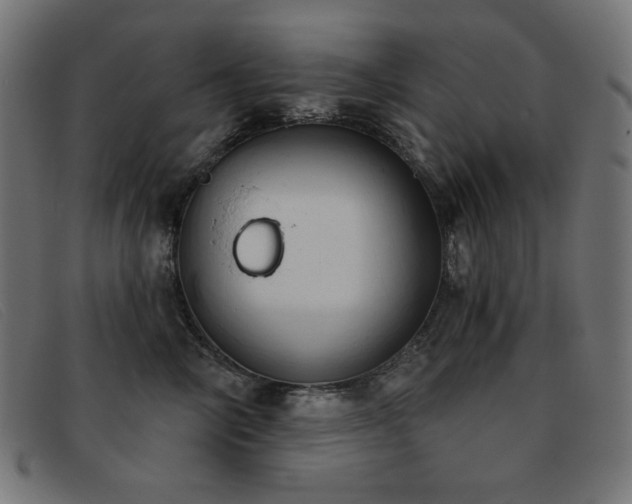 X0000093360714200710111454