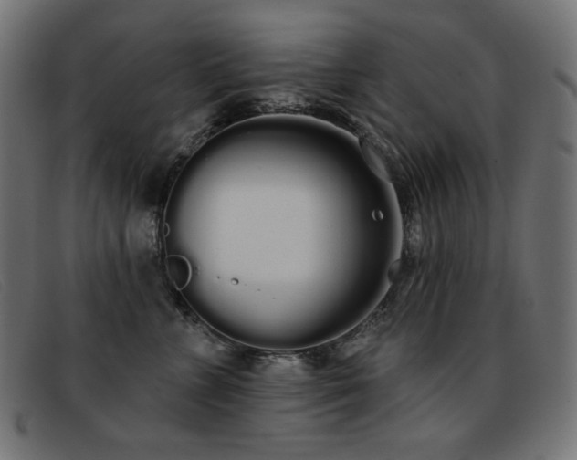 X0000093360715200710111454
