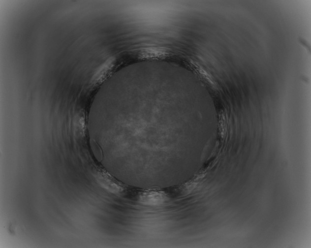 X0000093360716200710111454