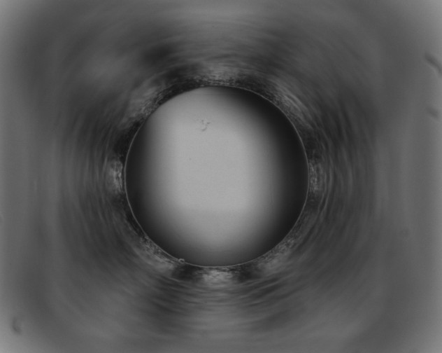 X0000093360718200710111454