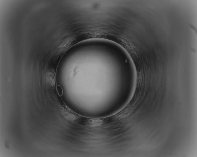 X0000093360719200710111454