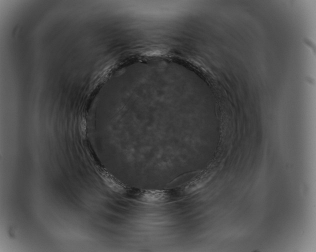X0000093360720200710111454