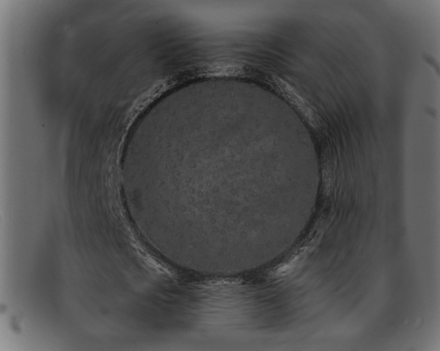 X0000093360721200710111454