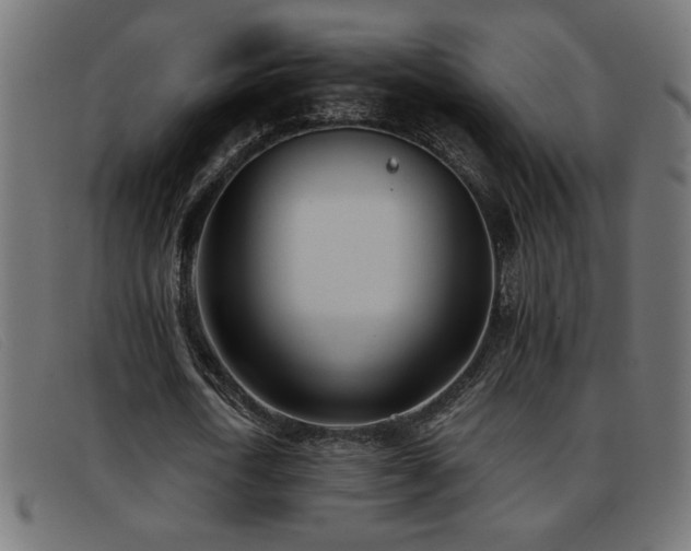 X0000093360722200710111454