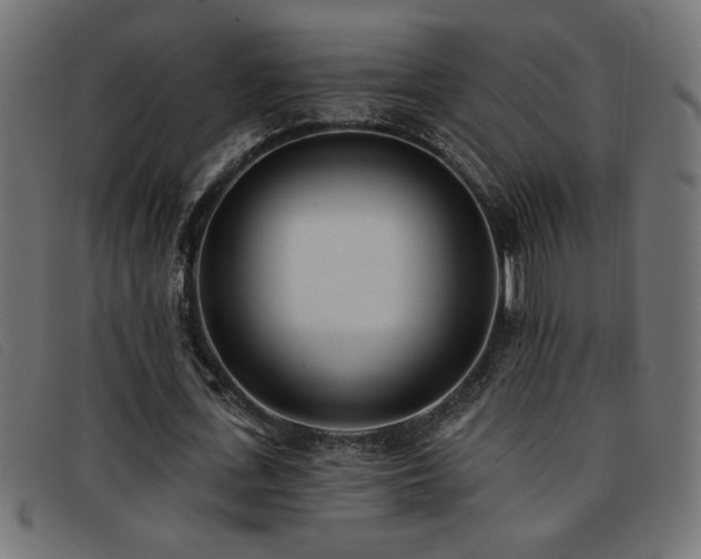X0000093360723200710111454