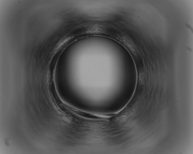 X0000093360724200710111454