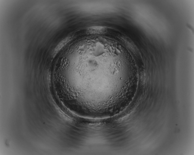 X0000093360725200710111454