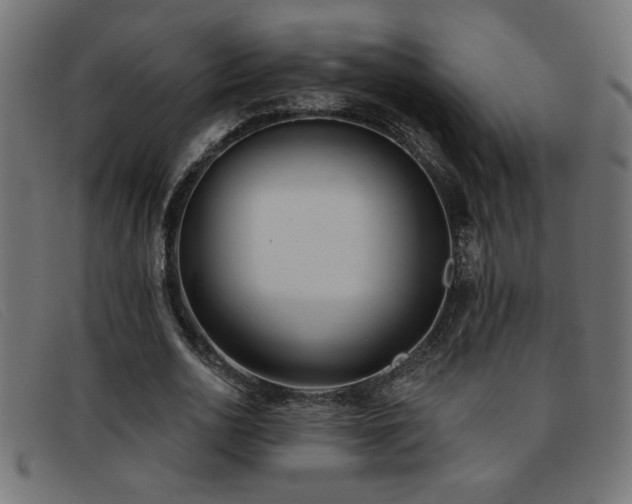 X0000093360726200710111454