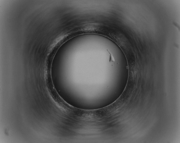 X0000093360728200710111454
