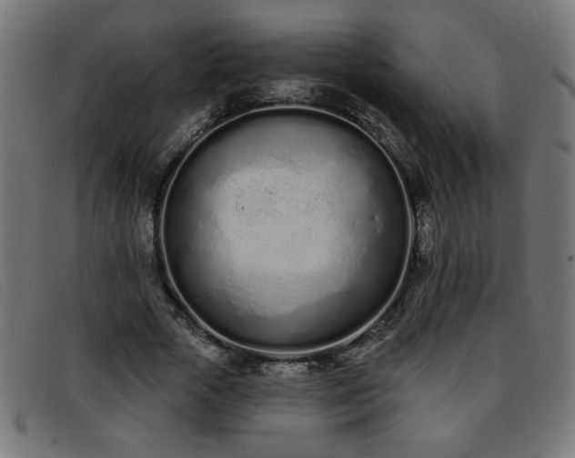 X0000093360729200710111454