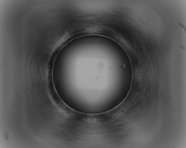 X0000093360730200710111454