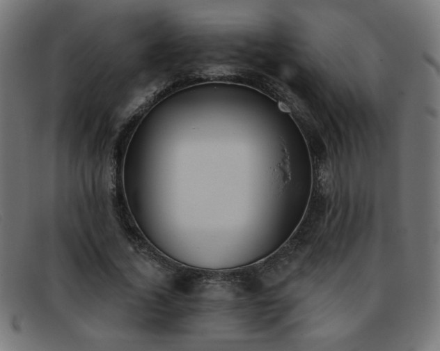 X0000093360732200710111454