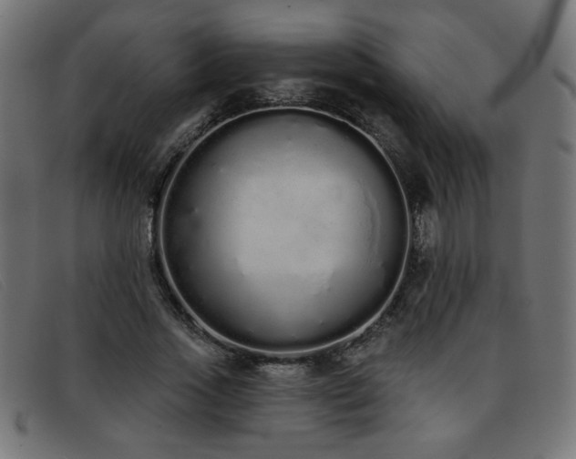 X0000093360733200710111454
