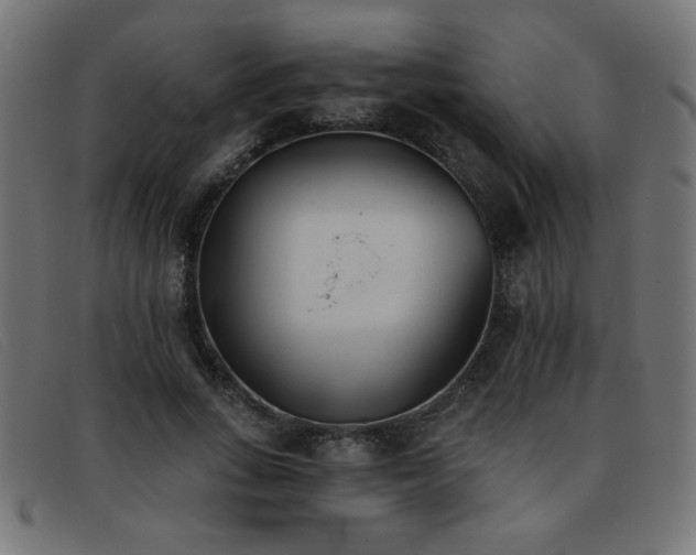 X0000093360735200710111454