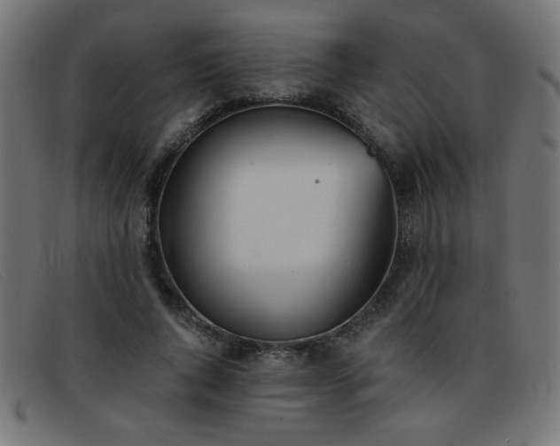 X0000093360736200710111454