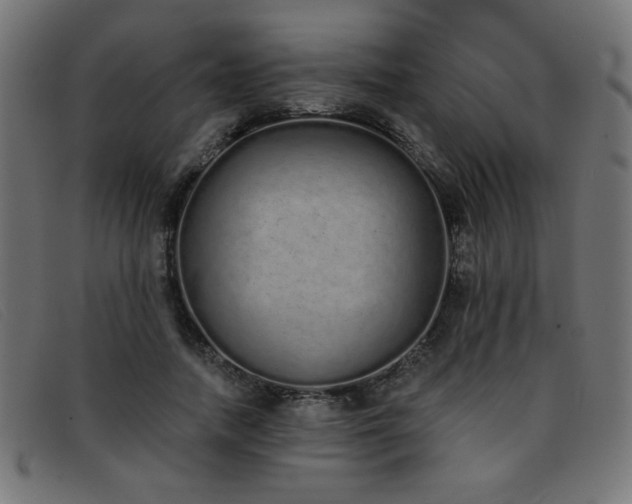 X0000093360738200710111454