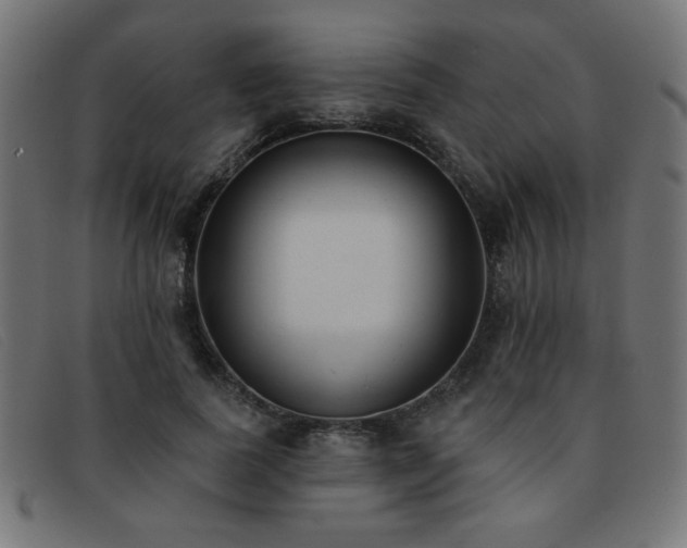 X0000093360739200710111454