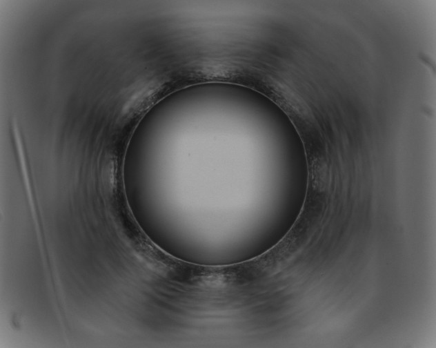 X0000093360740200710111454