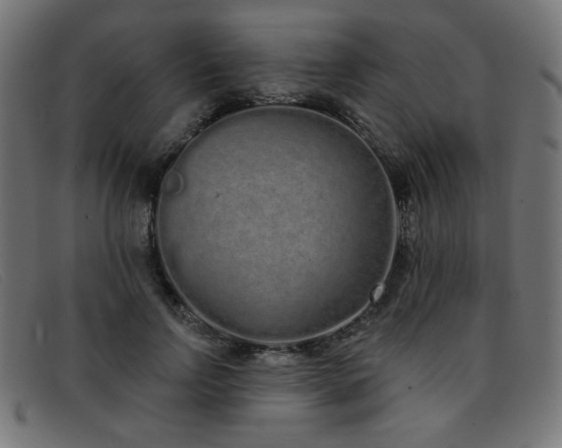 X0000093360742200710111454