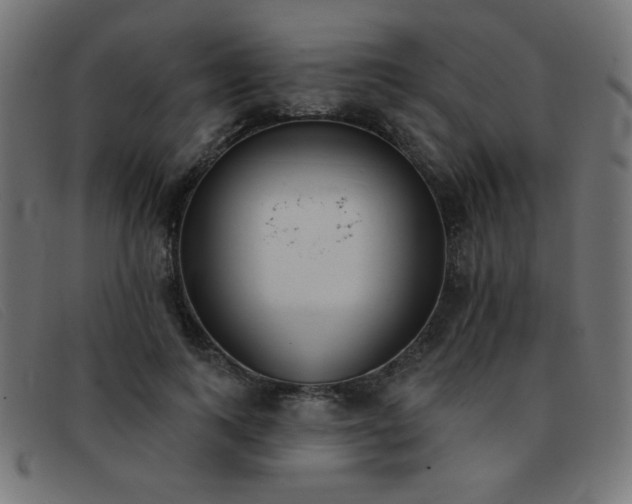 X0000093360743200710111454