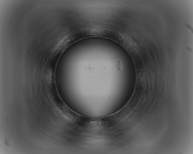 X0000093360744200710111454