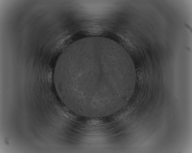 X0000093360745200710111454