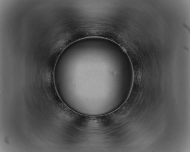 X0000093360746200710111454