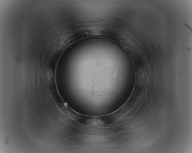X0000093360747200710111454