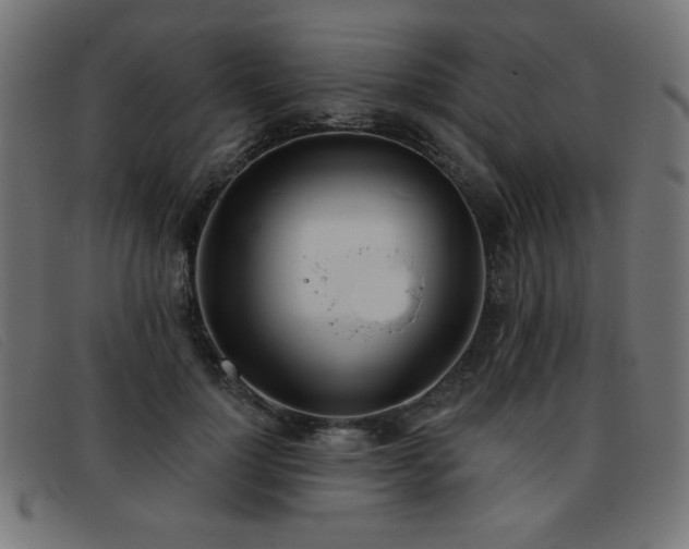 X0000093360748200710111454