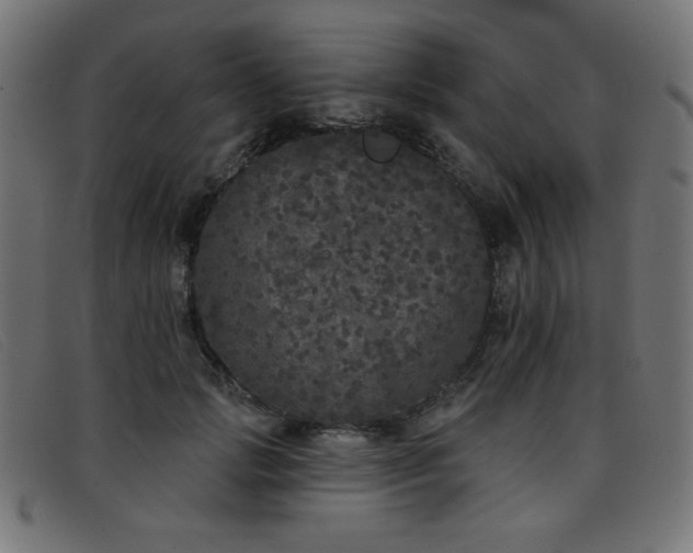 X0000093360749200710111454